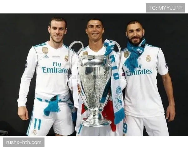 扫荡机器:坎特的核心标签 扫荡机器:坎特的核心标签