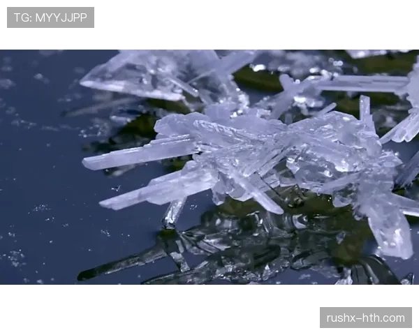 特雷·杨家的冰箱里只放蛋白粉和冰块？